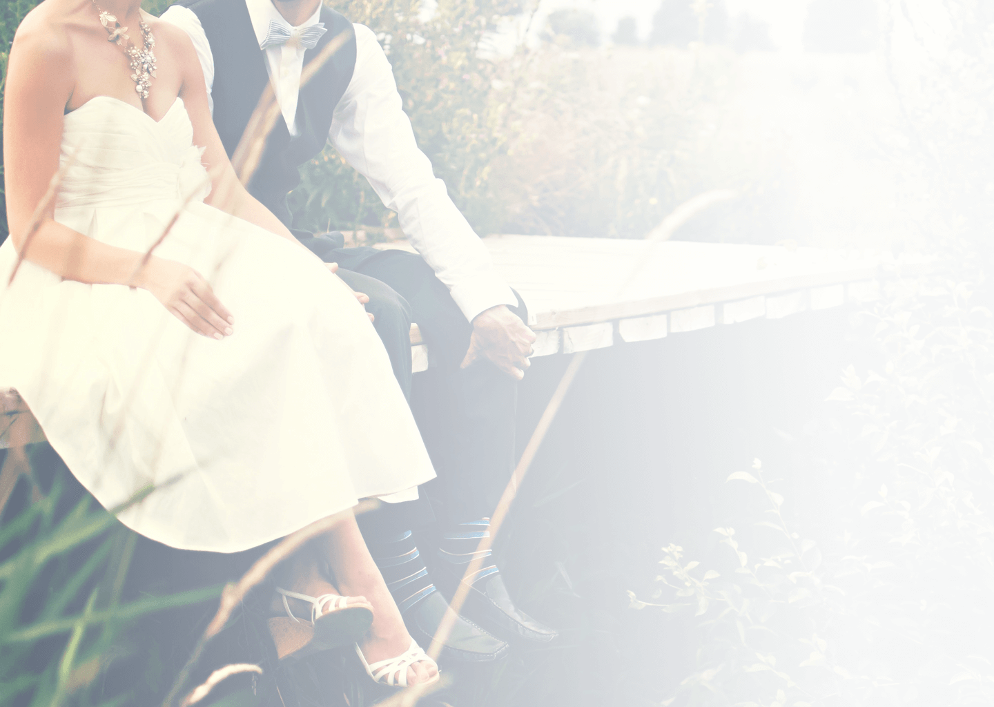wdp_cover_02.png